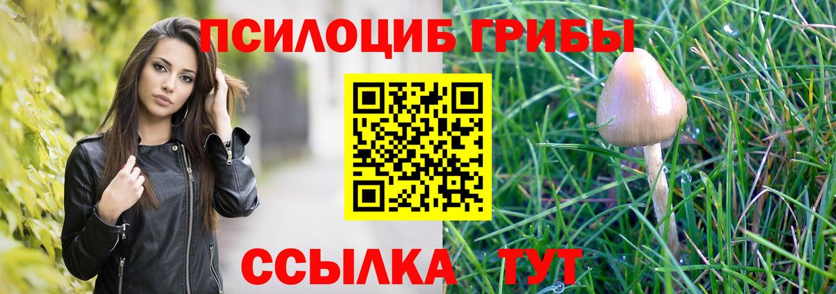 Псилоцибиновые грибы мухоморы  Вход с VPN  Псилоцибиновые грибы Psilocybe  Новоалександровск 